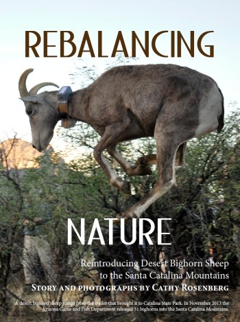 Screen Shot 2014-05-09 at 3.05.28 PM